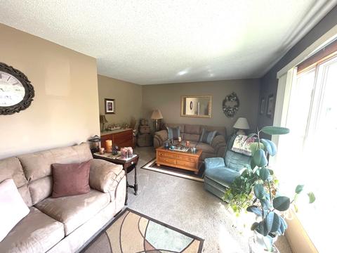 201 N 4th St, Danforth, IL 60930 photo 4