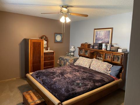 201 N 4th St, Danforth, IL 60930 photo 11