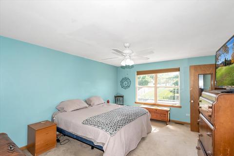4522 Oriole Ln, Plainfield, IL 60586 photo 10
