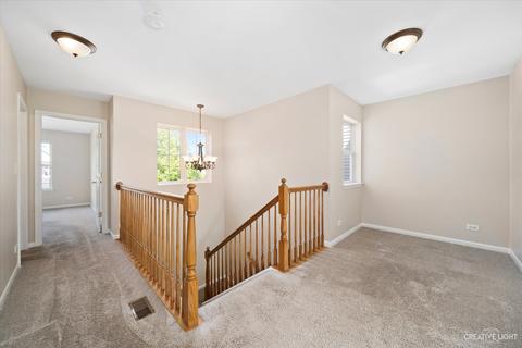 1247 Spaulding Rd #A1, Bartlett, IL 60103 photo 9