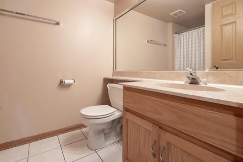 419 Ryan Cir, Matteson, IL 60443 photo 23