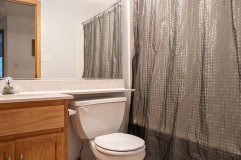 419 Ryan Cir, Matteson, IL 60443 photo 20
