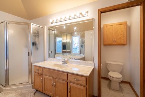419 Ryan Cir, Matteson, IL 60443 photo 17