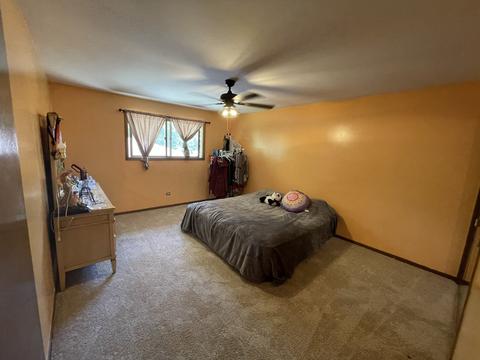 17875 Rose St, Lansing, IL 60438 photo 13