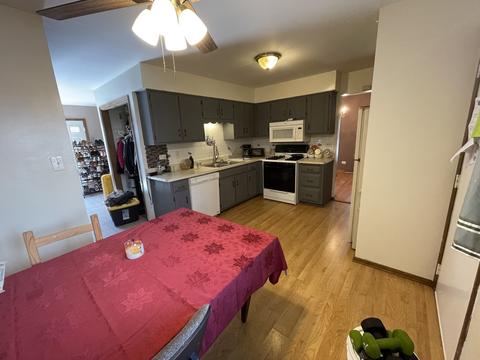 17875 Rose St, Lansing, IL 60438 photo 9