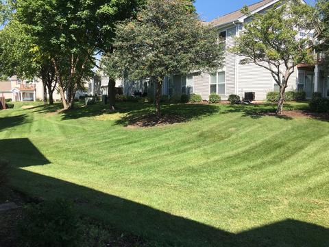 2075 Waverly Ln, Algonquin, IL 60102 photo 36
