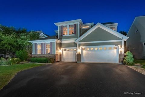 239 Pawtucket Ave, Elgin, IL 60124 photo 45