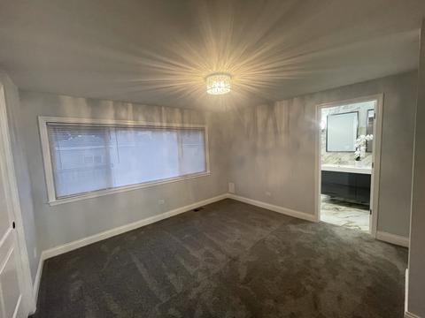 8739 S Merrill Ave, Chicago, IL 60617 photo 17
