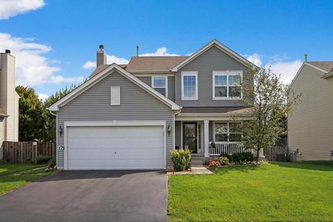 175 Reston Ln, Gilberts, IL 60136 photo 1