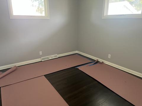 910 S Hugh St, Plano, IL 60545 photo 9