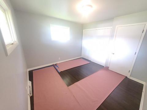 910 S Hugh St, Plano, IL 60545 photo 11