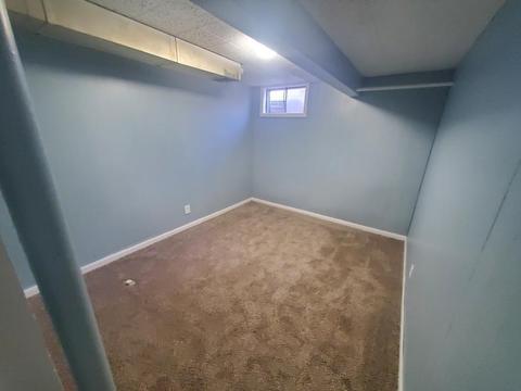 910 S Hugh St, Plano, IL 60545 photo 19