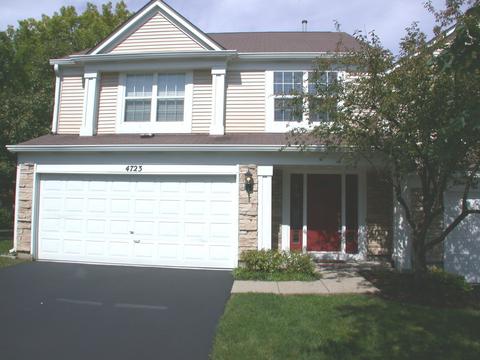 4723 Amber Cir, Hoffman Estates, IL 60192 photo 1