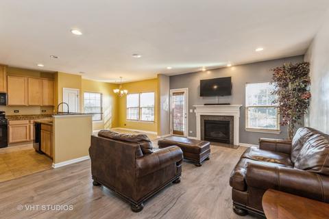 12913 White Pine Way, Plainfield, IL 60585 photo 5