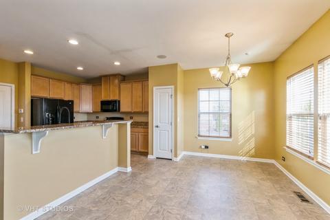12913 White Pine Way, Plainfield, IL 60585 photo 6
