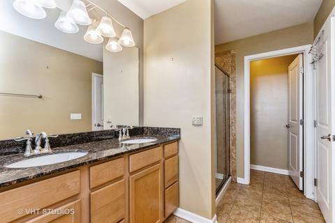 12913 White Pine Way, Plainfield, IL 60585 photo 12