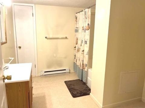 225 W Devlin St, Spring Valley, IL 61362 photo 27
