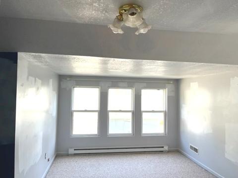 225 W Devlin St, Spring Valley, IL 61362 photo 30