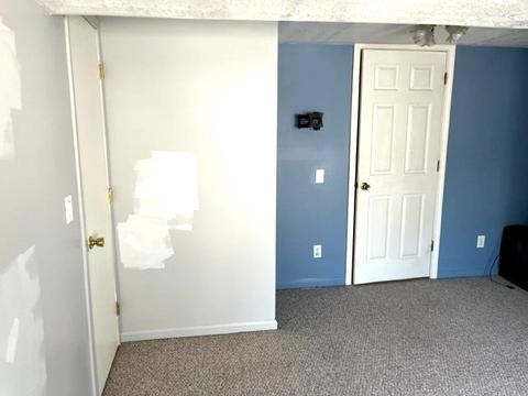 225 W Devlin St, Spring Valley, IL 61362 photo 31
