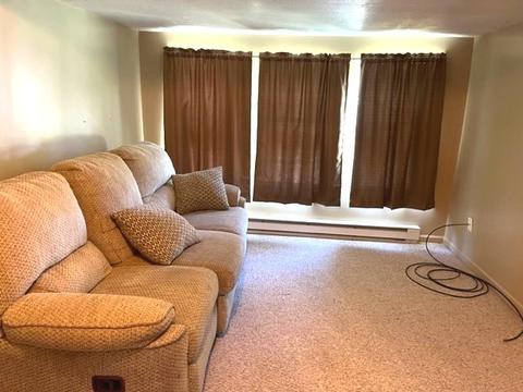 225 W Devlin St, Spring Valley, IL 61362 photo 24