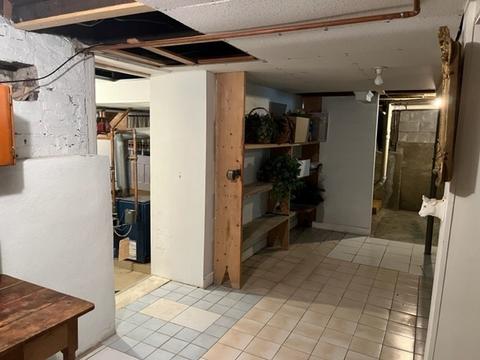 225 W Devlin St, Spring Valley, IL 61362 photo 39