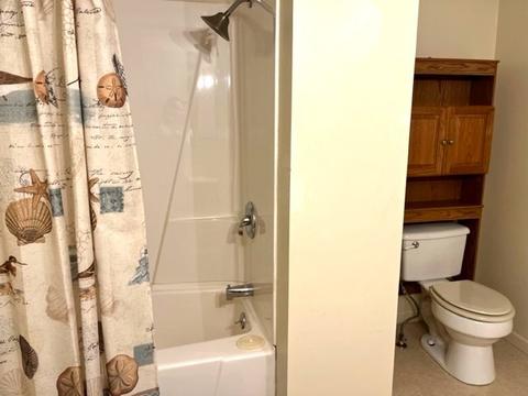 225 W Devlin St, Spring Valley, IL 61362 photo 28