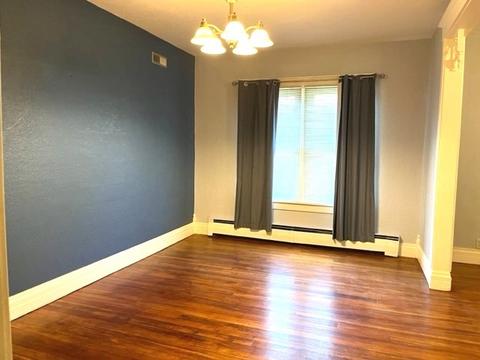 225 W Devlin St, Spring Valley, IL 61362 photo 8