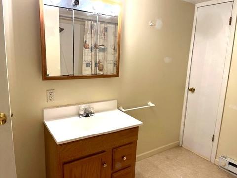 225 W Devlin St, Spring Valley, IL 61362 photo 29