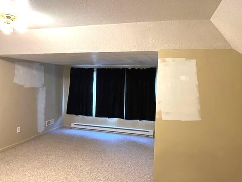 225 W Devlin St, Spring Valley, IL 61362 photo 26