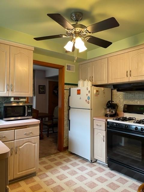 2525 S 13th Ave S, Broadview, IL 60155 photo 7