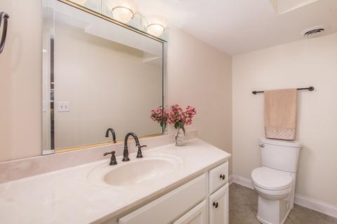403 S Meier Rd, Mount Prospect, IL 60056 photo 28