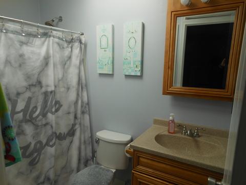 4133 Dalewood Dr, Plainfield, IL 60586 photo 16