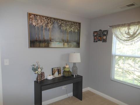 4133 Dalewood Dr, Plainfield, IL 60586 photo 15