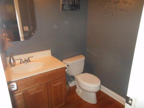 4133 Dalewood Dr, Plainfield, IL 60586 photo 17