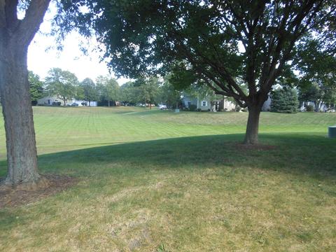 4133 Dalewood Dr, Plainfield, IL 60586 photo 6