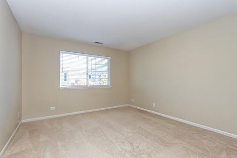 112 Durango Dr, Gilberts, IL 60136 photo 22