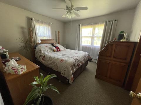 205 W 3rd St, Sublette, IL 61367 photo 6