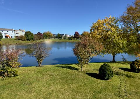 892 Teasel Ln, Aurora, IL 60504 photo 20