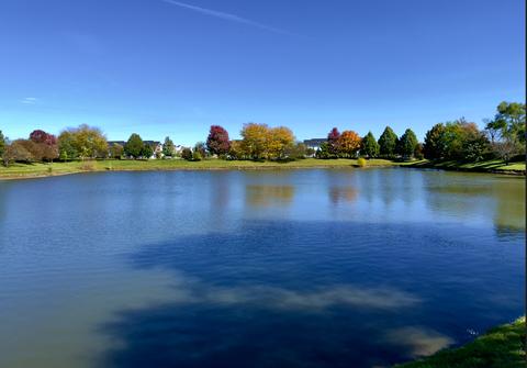 892 Teasel Ln, Aurora, IL 60504 photo 21