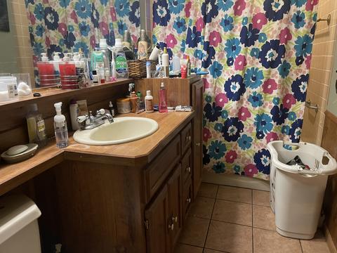 7753 S Sholer Ave, Bridgeview, IL 60455 photo 8