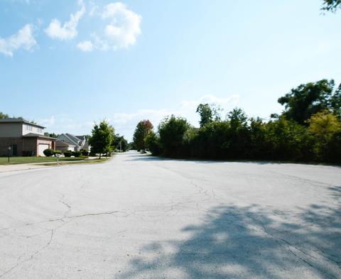 17005 Danielle Ct, Oak Forest, IL 60452 photo 29