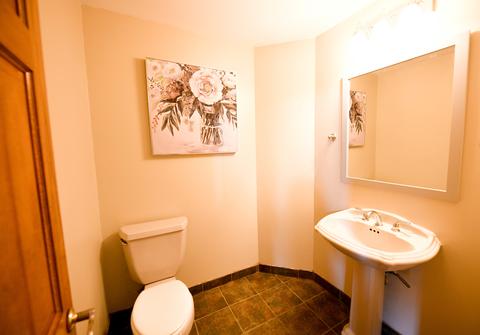 17005 Danielle Ct, Oak Forest, IL 60452 photo 10