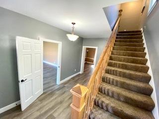 233 E William St, Bement, IL 61813 photo 30