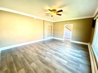 233 E William St, Bement, IL 61813 photo 27