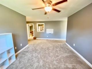 233 E William St, Bement, IL 61813 photo 22