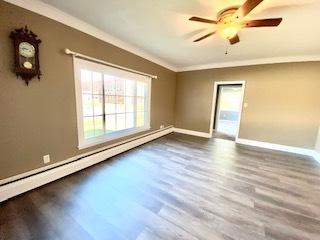 233 E William St, Bement, IL 61813 photo 28