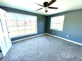233 E William St, Bement, IL 61813 photo 25