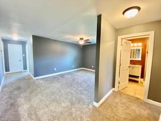 233 E William St, Bement, IL 61813 photo 21