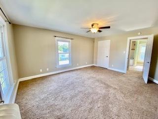 233 E William St, Bement, IL 61813 photo 35
