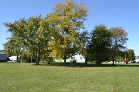 420 Paris St, Dewitt, IL 61735 photo 17